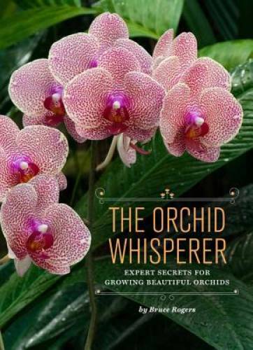 The Orchid Whisperer: Expert Secrets for Growing Beautiful Orchids – GOOD