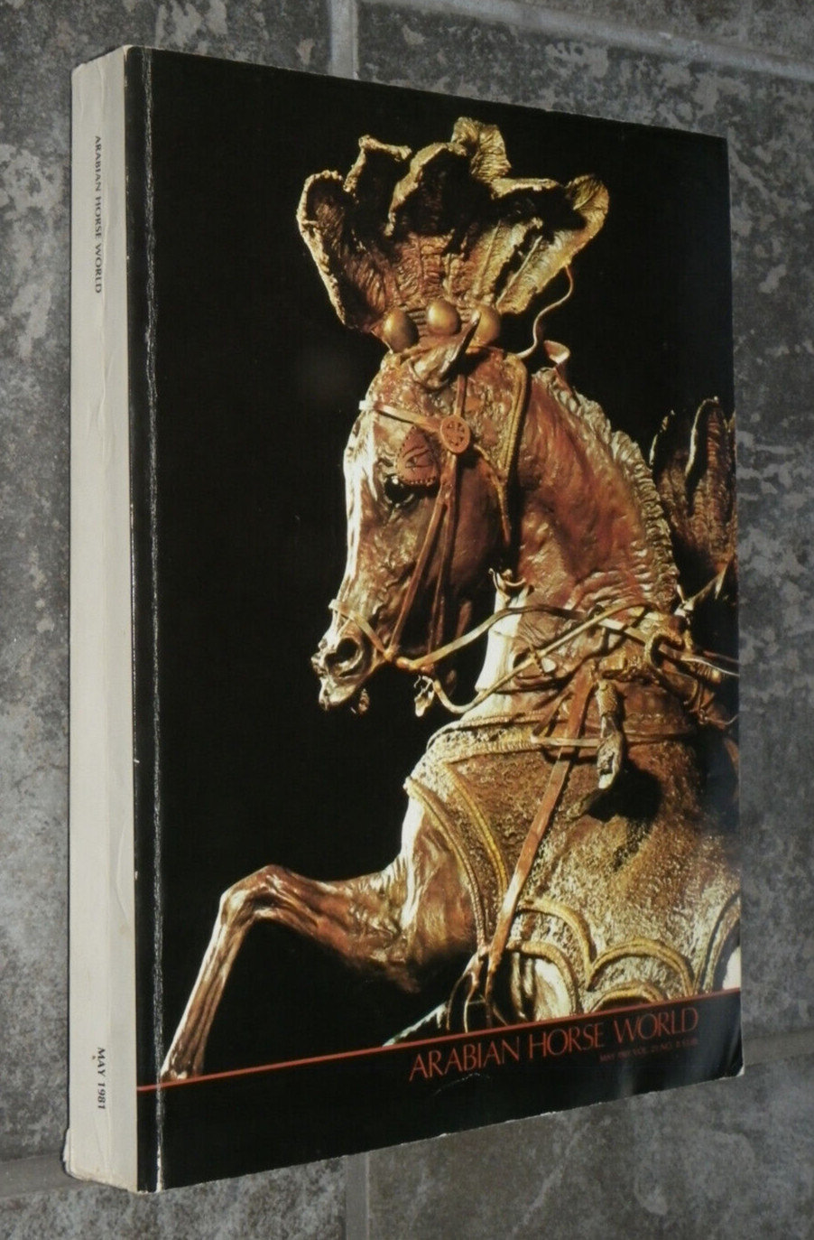 « Arabian Horse World » Magazine-May 1981-736 Pages-100s Horse Photos