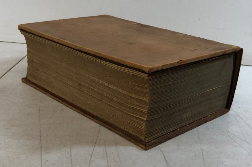 Veterinary practice; or, Explanatory Stock Doctor, Navin, 1884, E-94