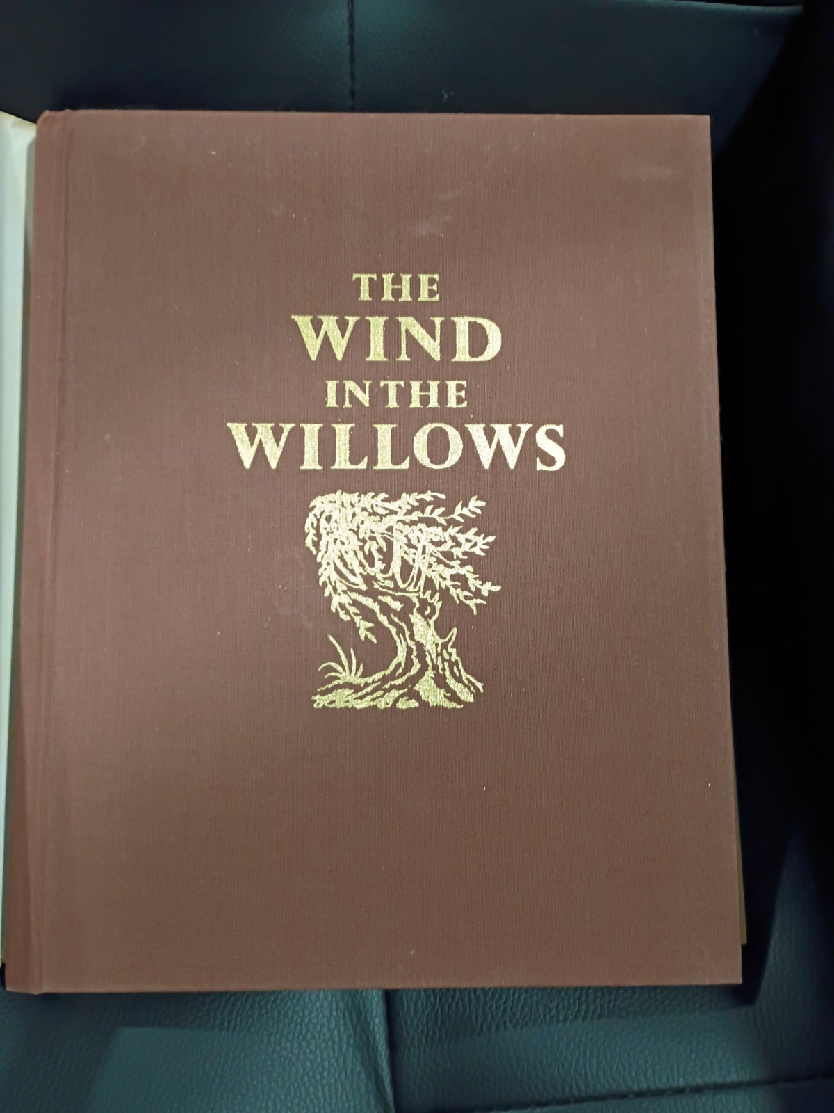 1980 The Wind in the Willows 1st Ed w/ Dust Jacket Kenneth Grahame Michael Hague