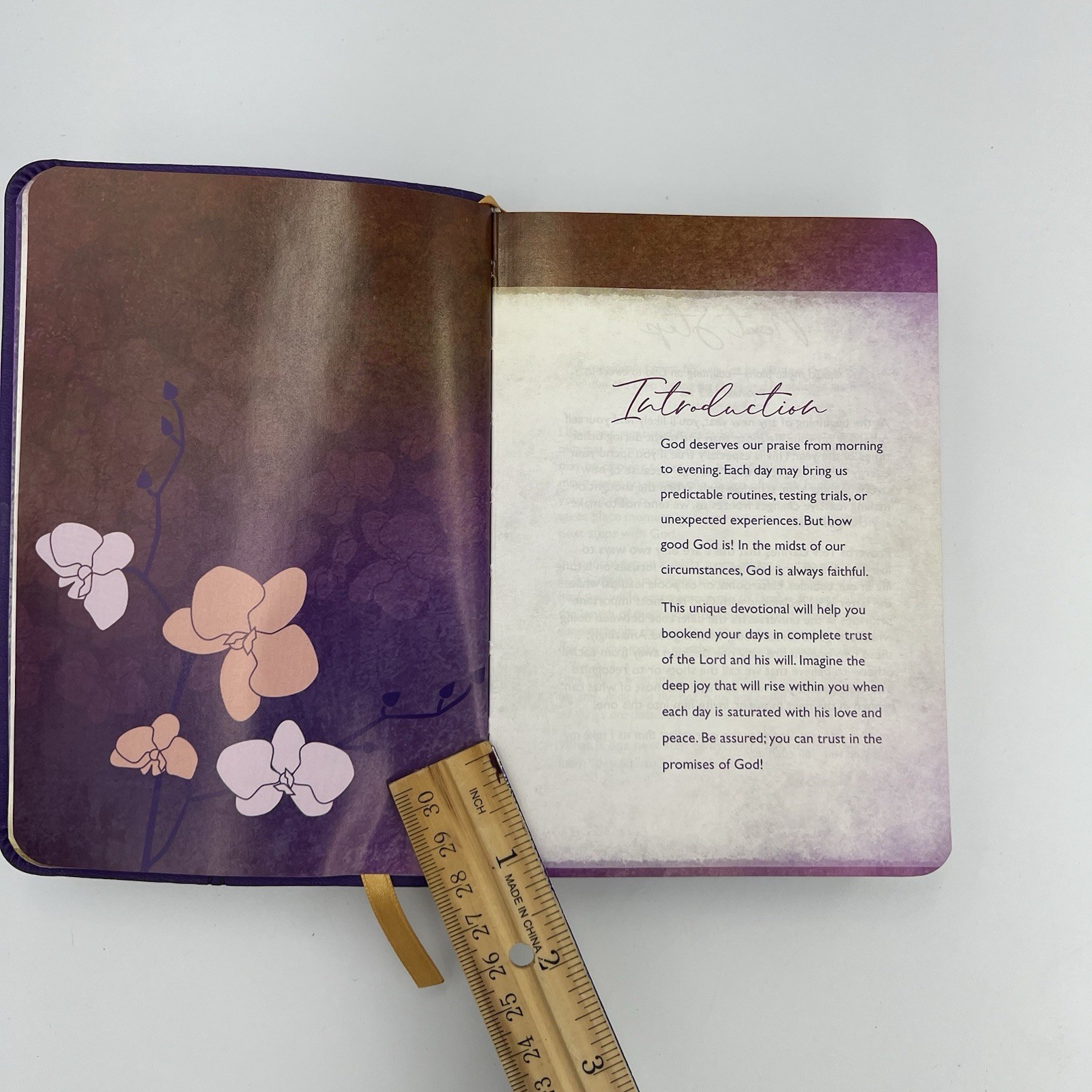 Morning and Evening Devotional « I Trust You Jesus » 736 Pages Purple Leather