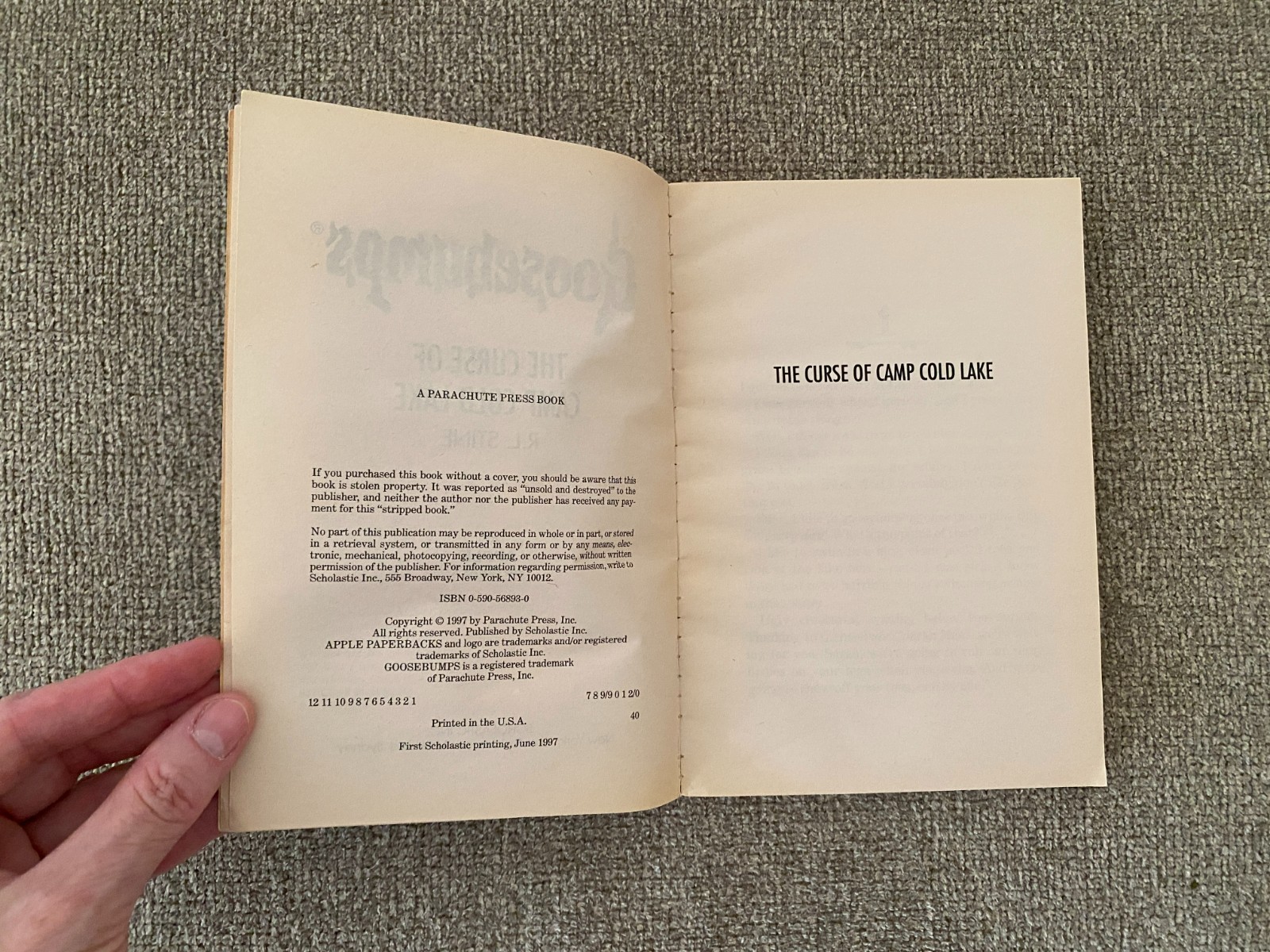 Good Thin Edition 1st print Goosebumps #56 The Curse of Camp Cold Lake ~ Stine