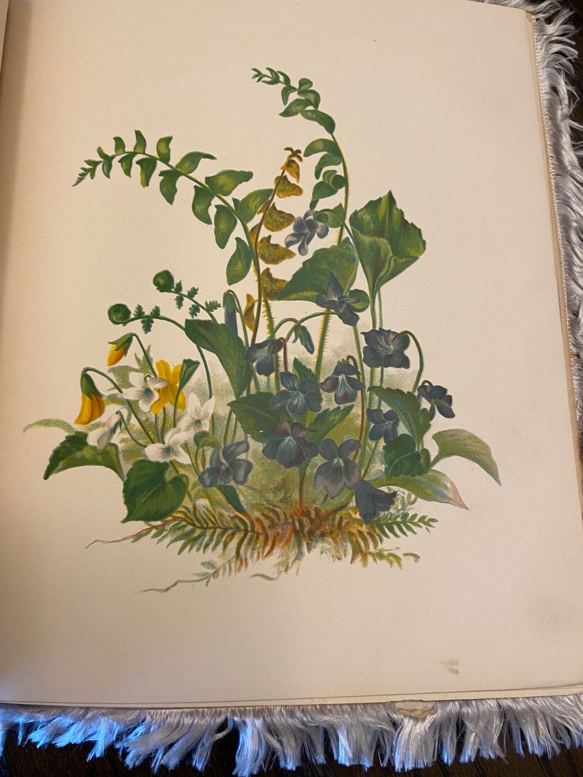 1883 Easter Flowers First Edition SC