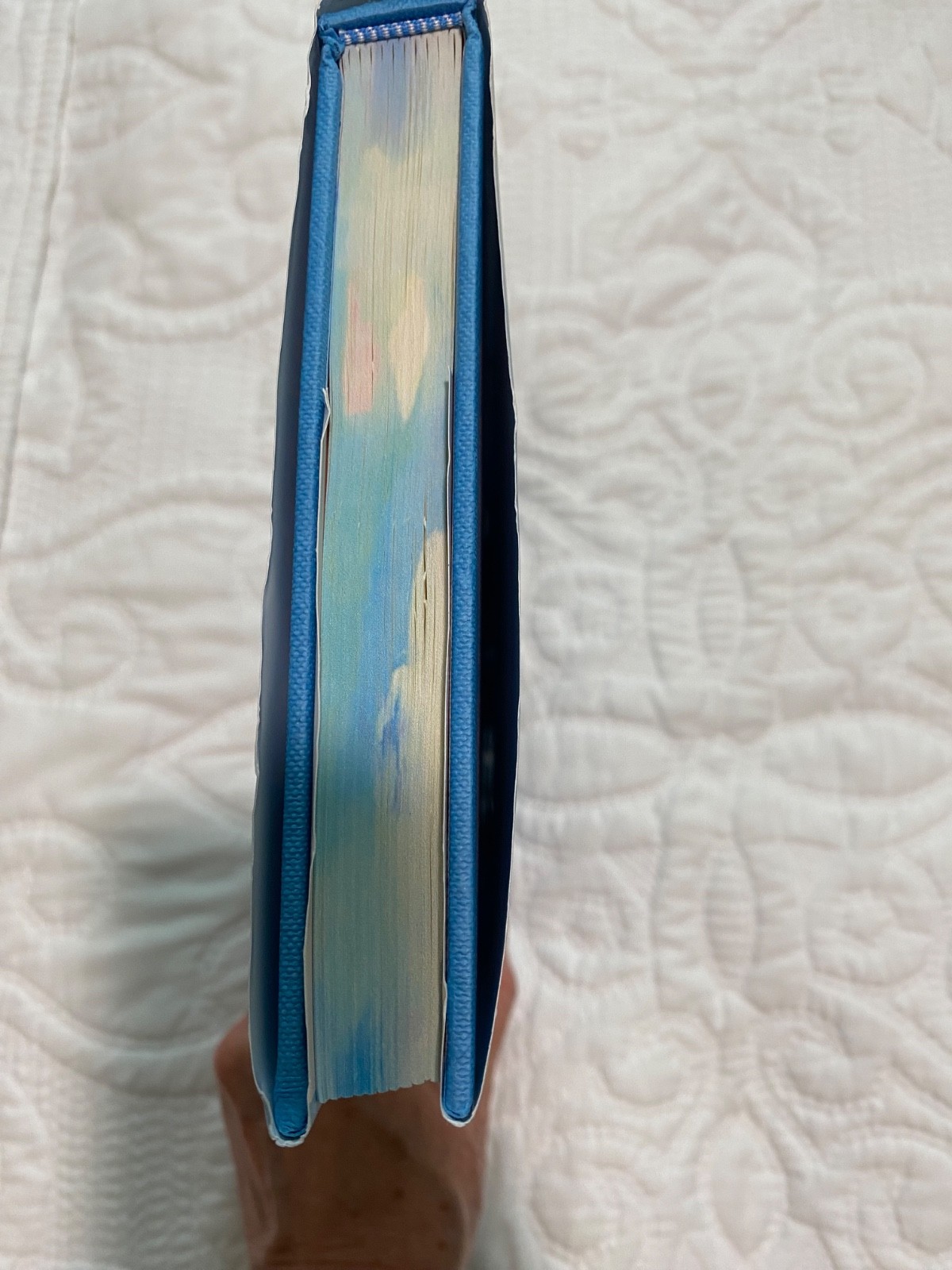 SPRAYED EDGE book – « Every Summer After » by Carley Fortune