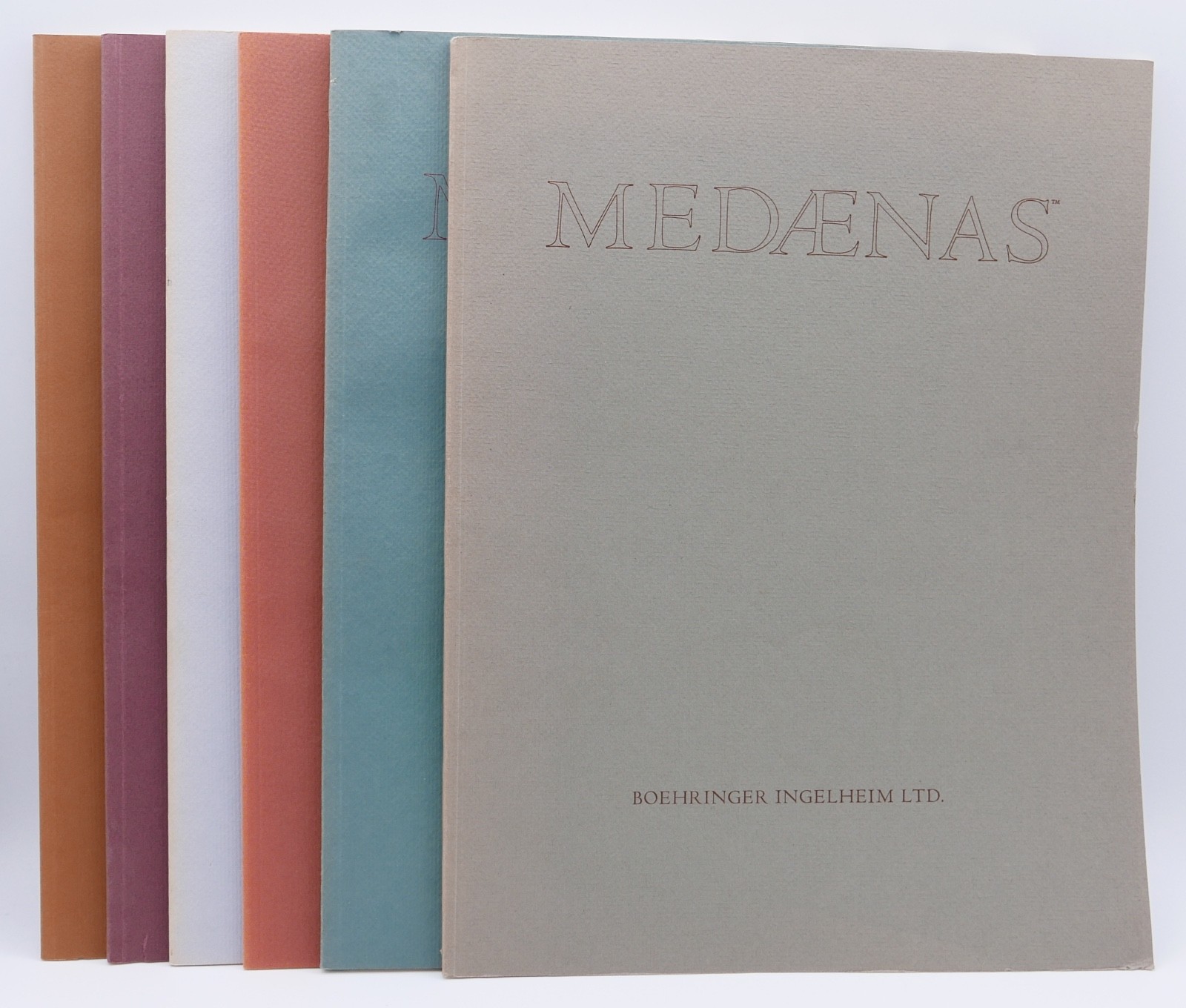 Medaenas Monographs Six Vols (Homer, Gauguin, Michelangelo, Rembrandt, Others)!