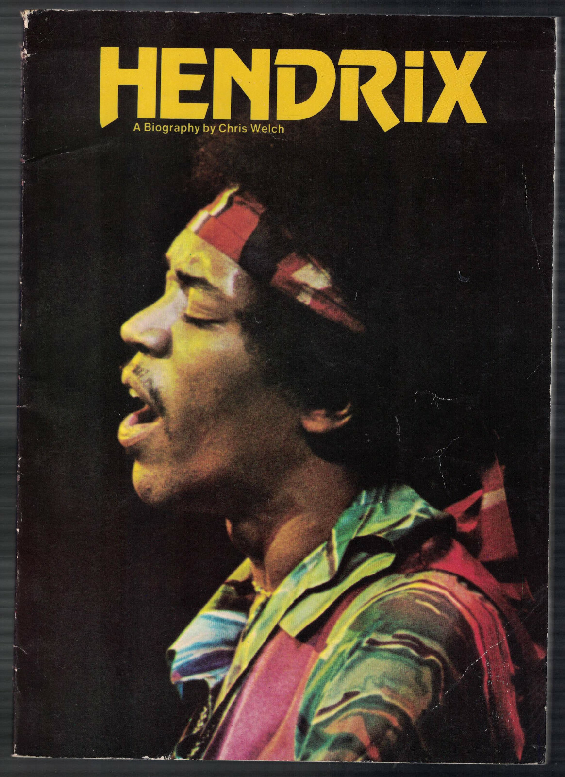 JIMI HENDRIX Book (Chris Welch, 1978) Classic Jimmy Biography, VG Tons of Photos