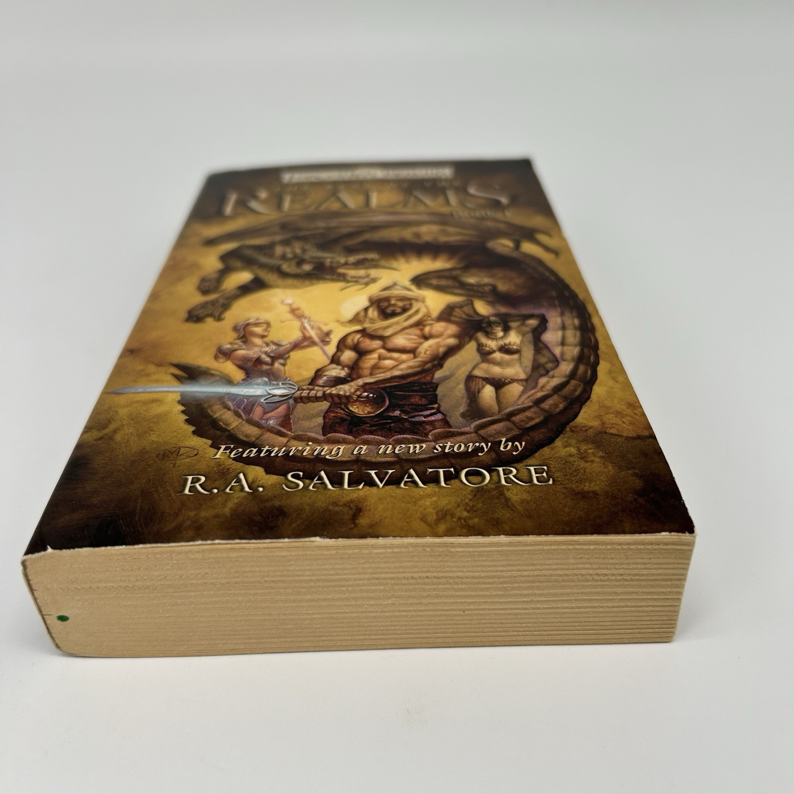 Forgotten Realms The Best Of The Realms Vol. 1 PB 2003 TSR 1st Print Salvatore