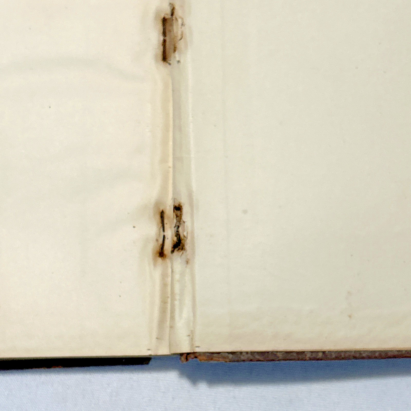 The Harvard Portfolio ~ FIRST VOLUME ~ Rare ~ 1889-1890 ~ Antique