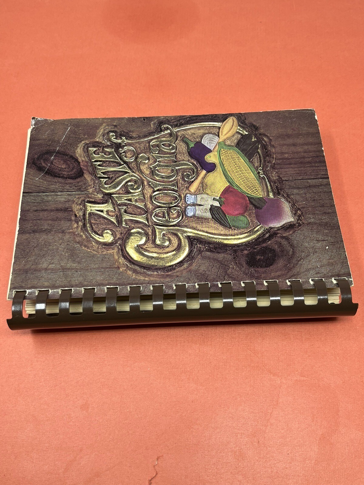 A TASTE OF GEORGIA Southern Cookbook Newnan Junior Service League 600 Pages