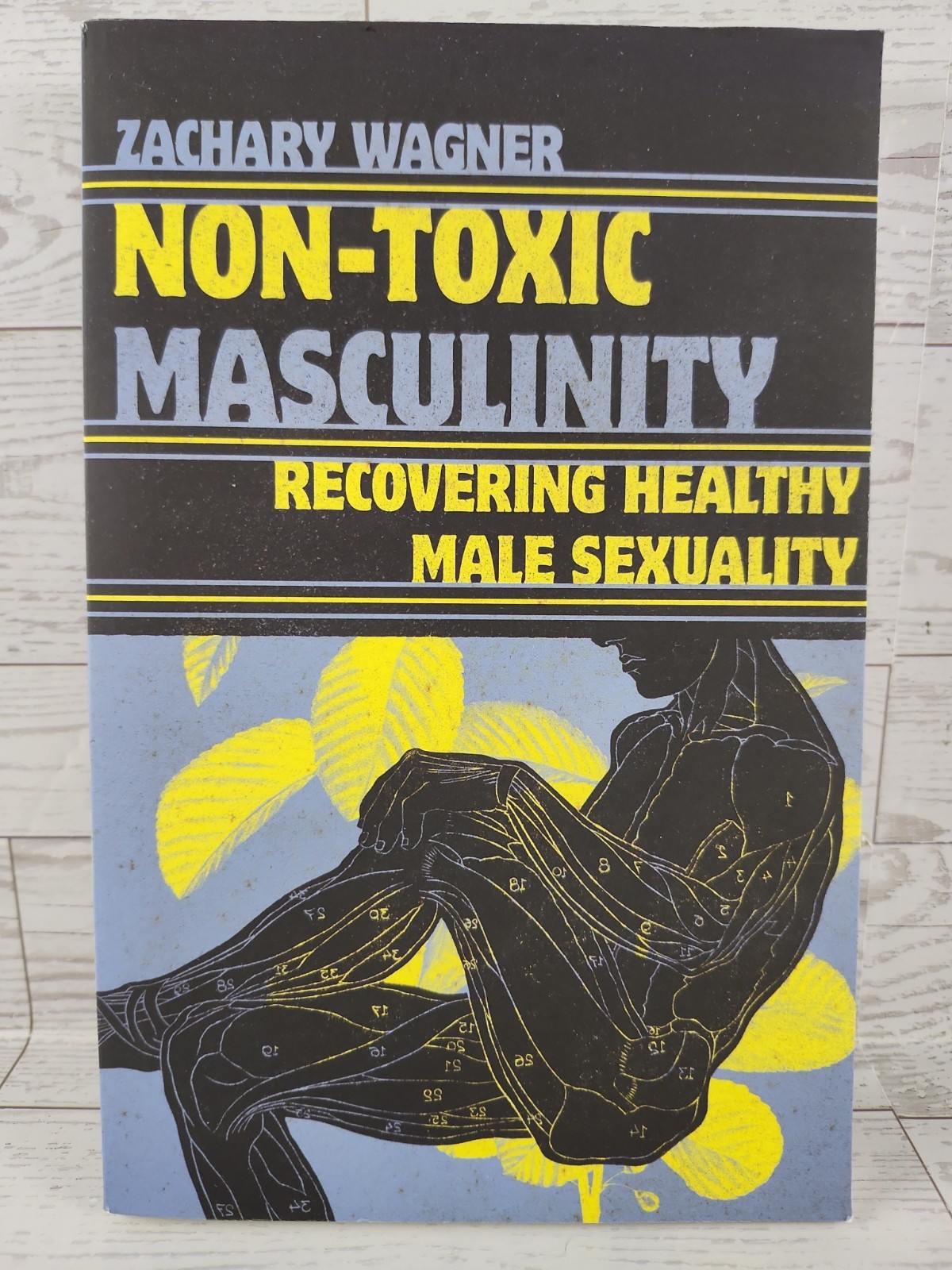 Non-Toxic Masculinity: Recovering Healthy Male Sexuality By Wagner, Zachary