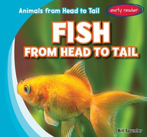 Fish from Head to Tail (Animals from Head to Tail)