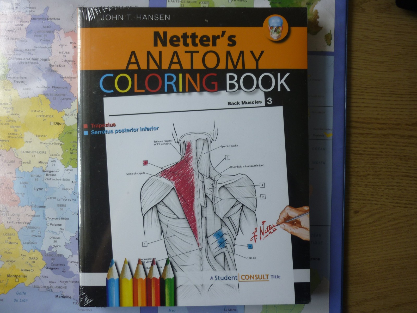 Netter&rsquo;s Anatomy Coloring Book: with Student Consult Access (Netter Basic Sc…