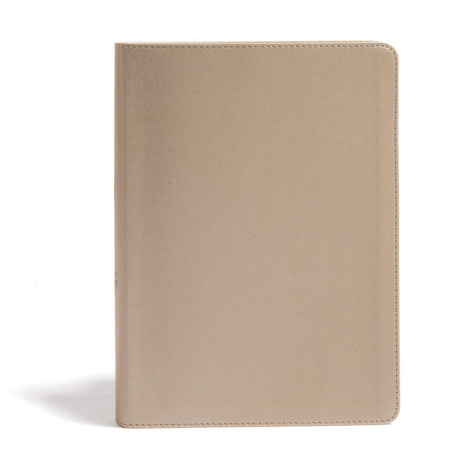 CSB She Reads Truth Bible, Champagne Gold LeatherTouch, Indexed, Black Lette…