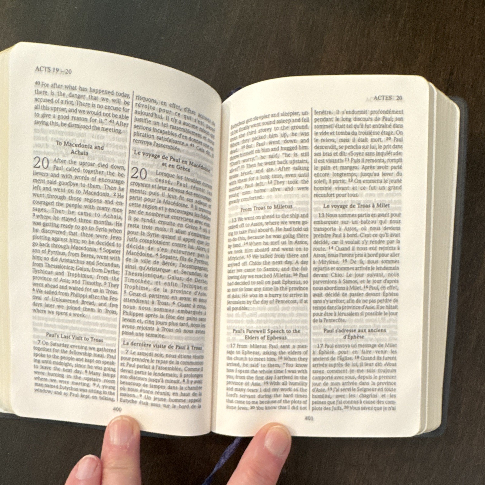 United Bible Societies Bilingual NT Psalms Proverbs Eng/Fre Leather 2004