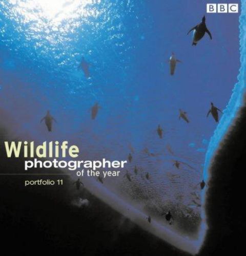 Wildlife Photographer of the Year: Portfolio 11 by BBC Books, Good Book
