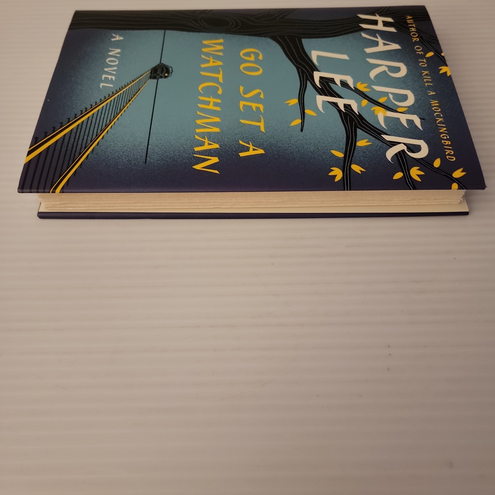 Harper Lee Go Set a Watchman First Edition First Printing HC DJ 2015
