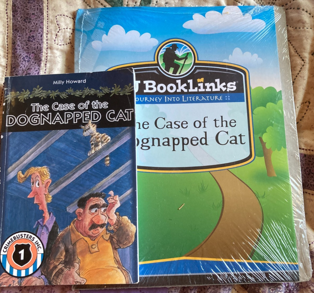 BJ Booklinks: The Case of the Dognapped Cat; Grade 3 Reading level
