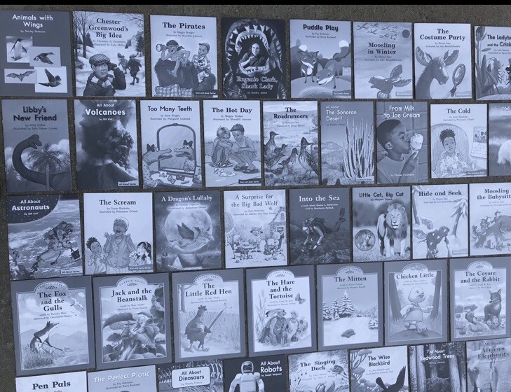 FOUNTAS & PINNELL Blue LLI System Books 1-120 Set Levels C-N Take-Home Readers