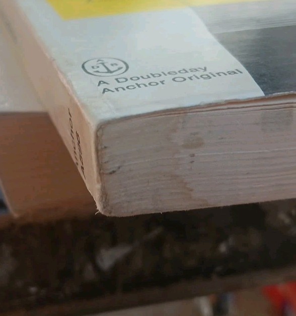 Erving Goffman Book – Interaction Ritual,1967