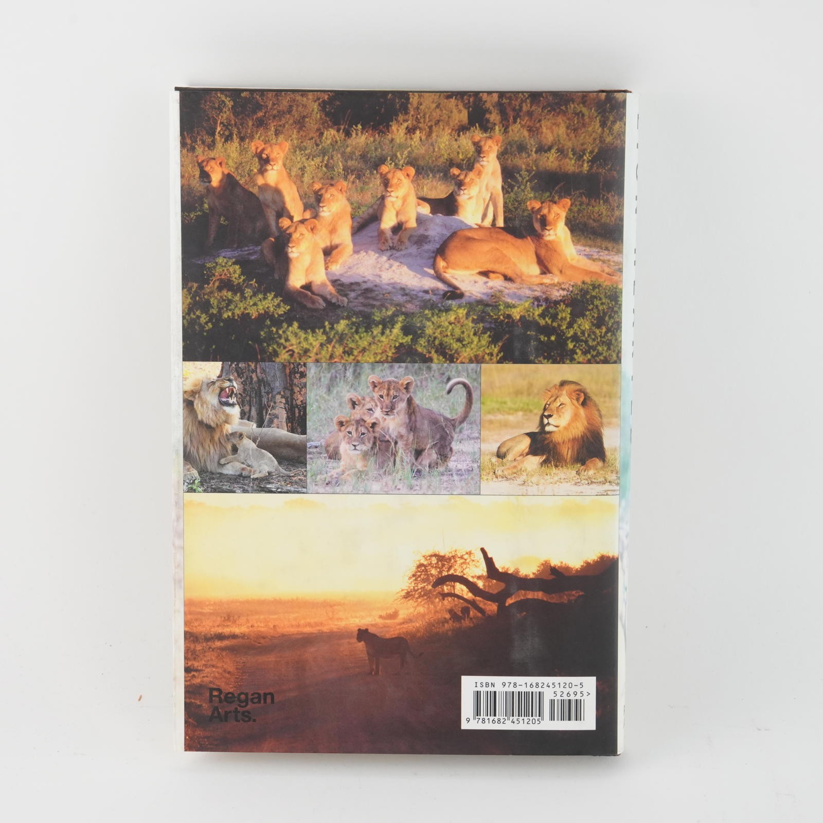 Lion Hearted: The Life and Death of Cecil & the Future of Africa&rsquo;s Iconic Cats