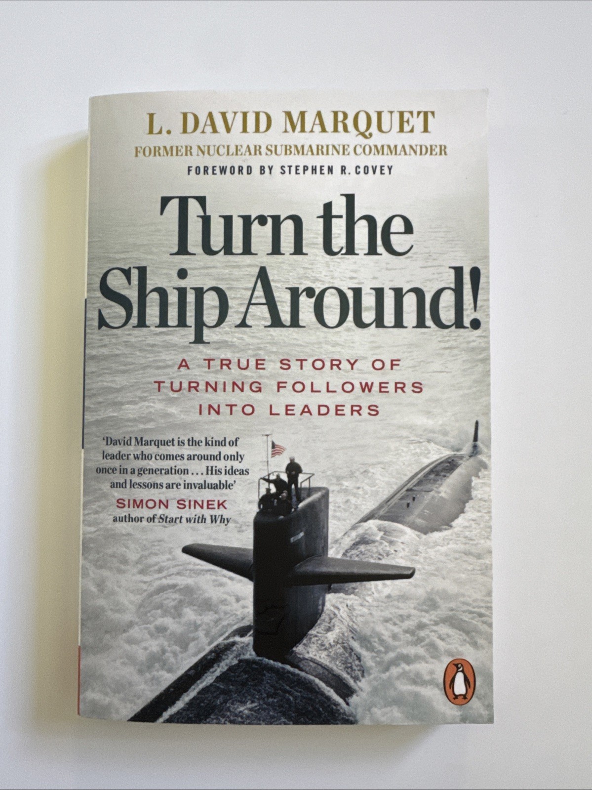 Turn The Ship Around!