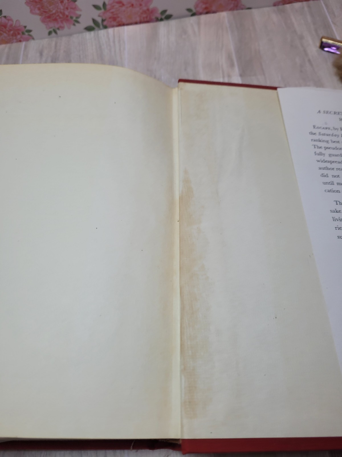 1942 Reprisal Ethel Vance Little Brown HC w/ Dust Jacket WWII Novel