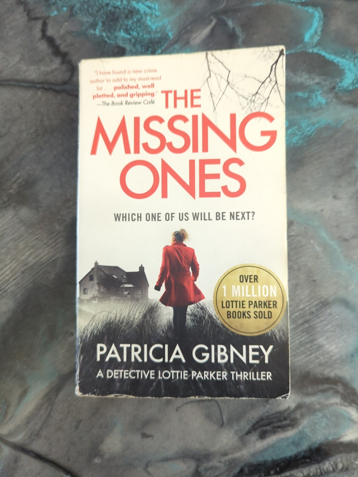Detective Lottie Parker Ser.: The Missing Ones by Patricia Gibney (2019, Mass…