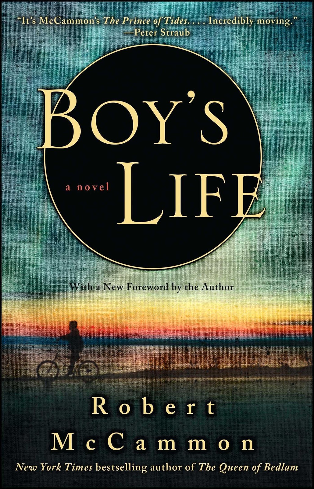 Boy&rsquo;s Life