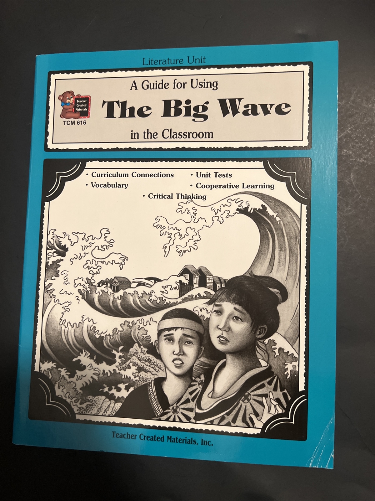 Literature Units Ser.: A Guide for Using the Big Wave in the Classroom by Susan