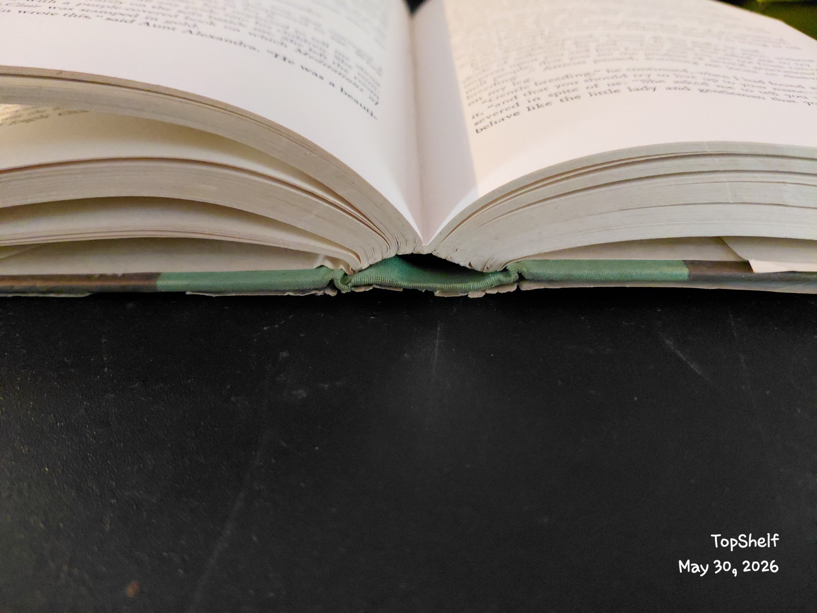 1961 To Kill a Mockingbird by Harper Lee Early Lippincott Printing w/Dust Jacket