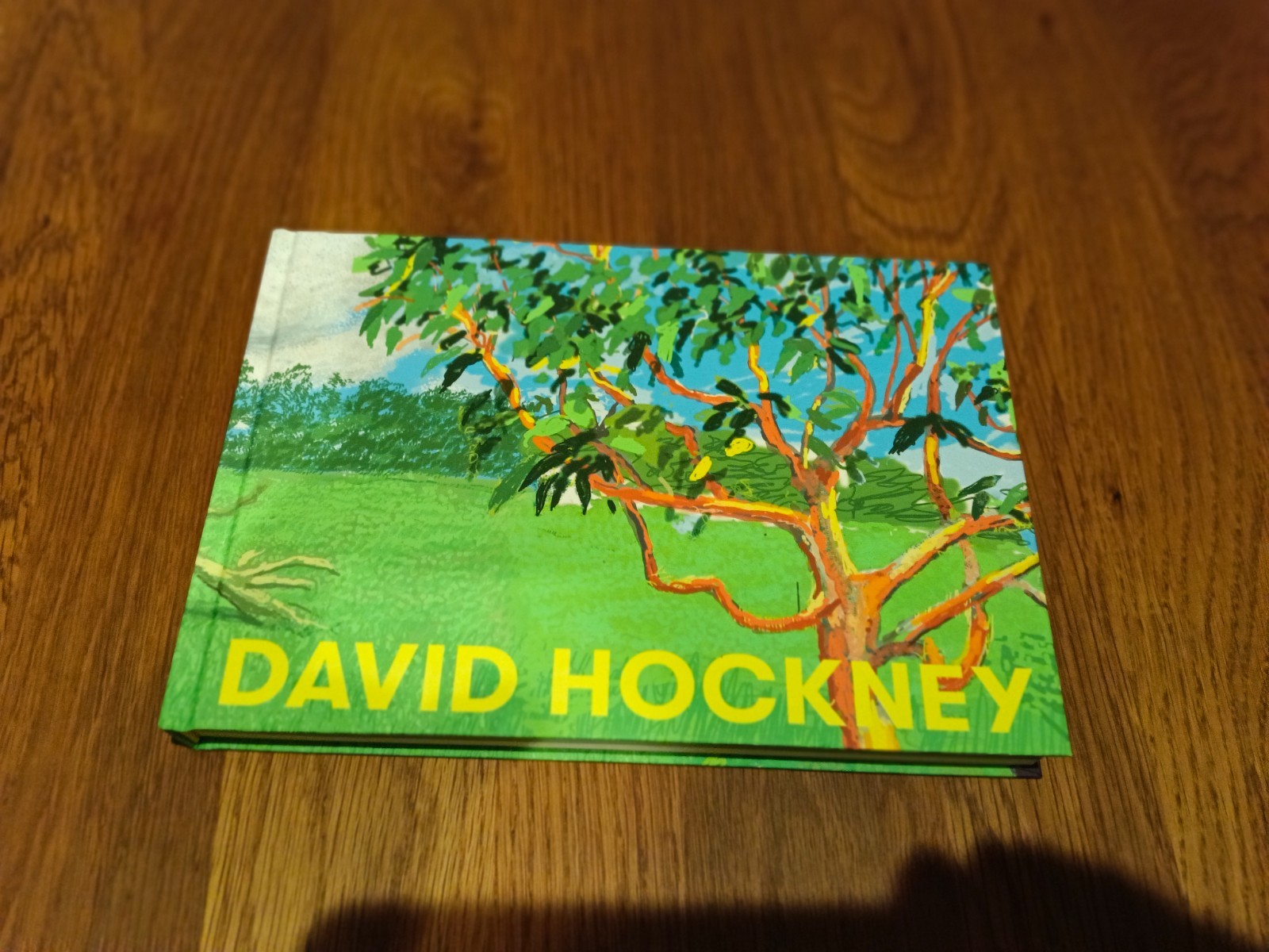 David Hockney Exhibition Official Catalogue Book 248 pages Tokyo From Japan