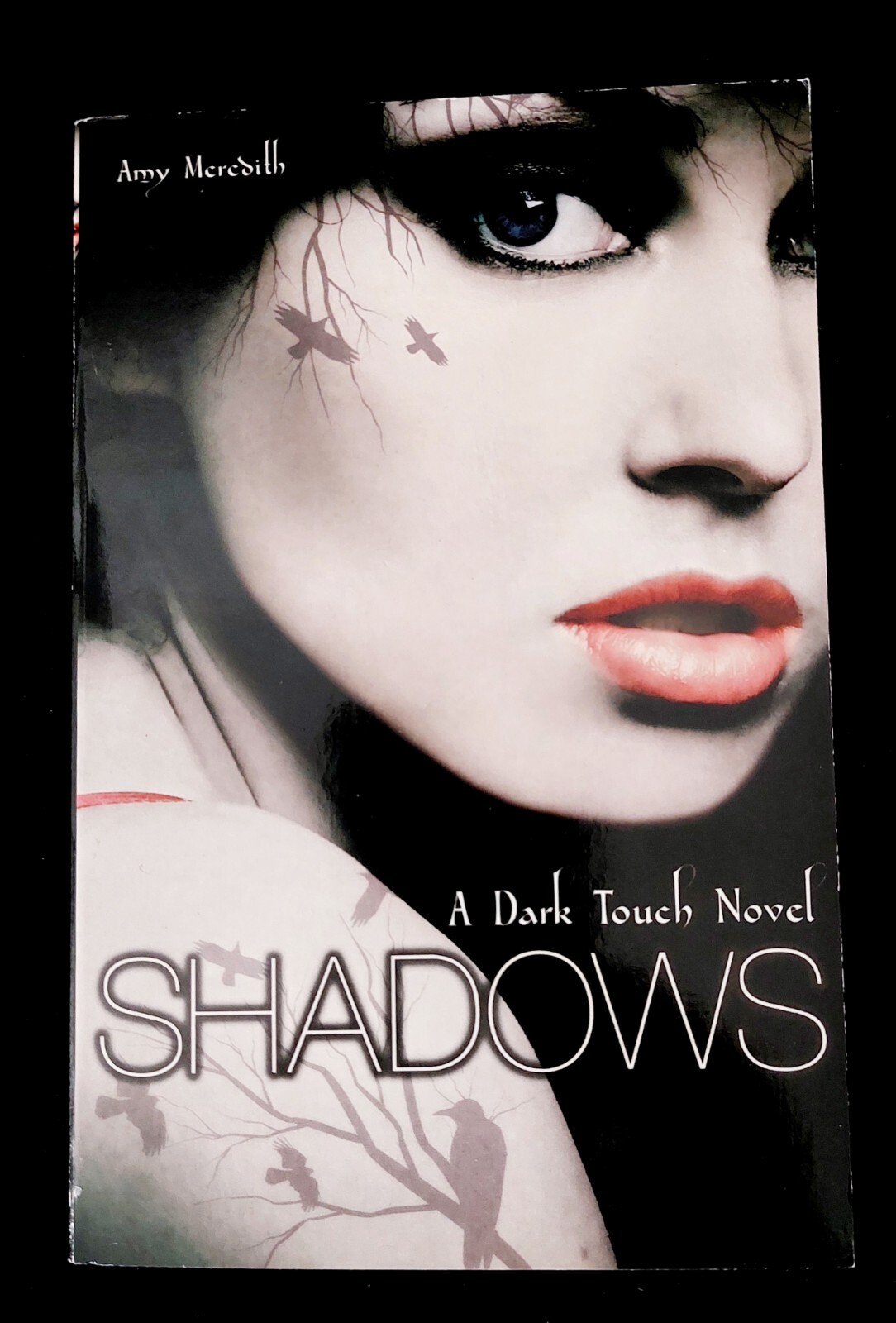 Fever & Shadows: A Dark Touch Novels by Amy Meredith Paperbacks Fantasy Fiction