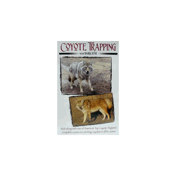 DVD, Mark June&rsquo;s Coyote Trapping, Volume 2, traps trap coyote trapping dvd