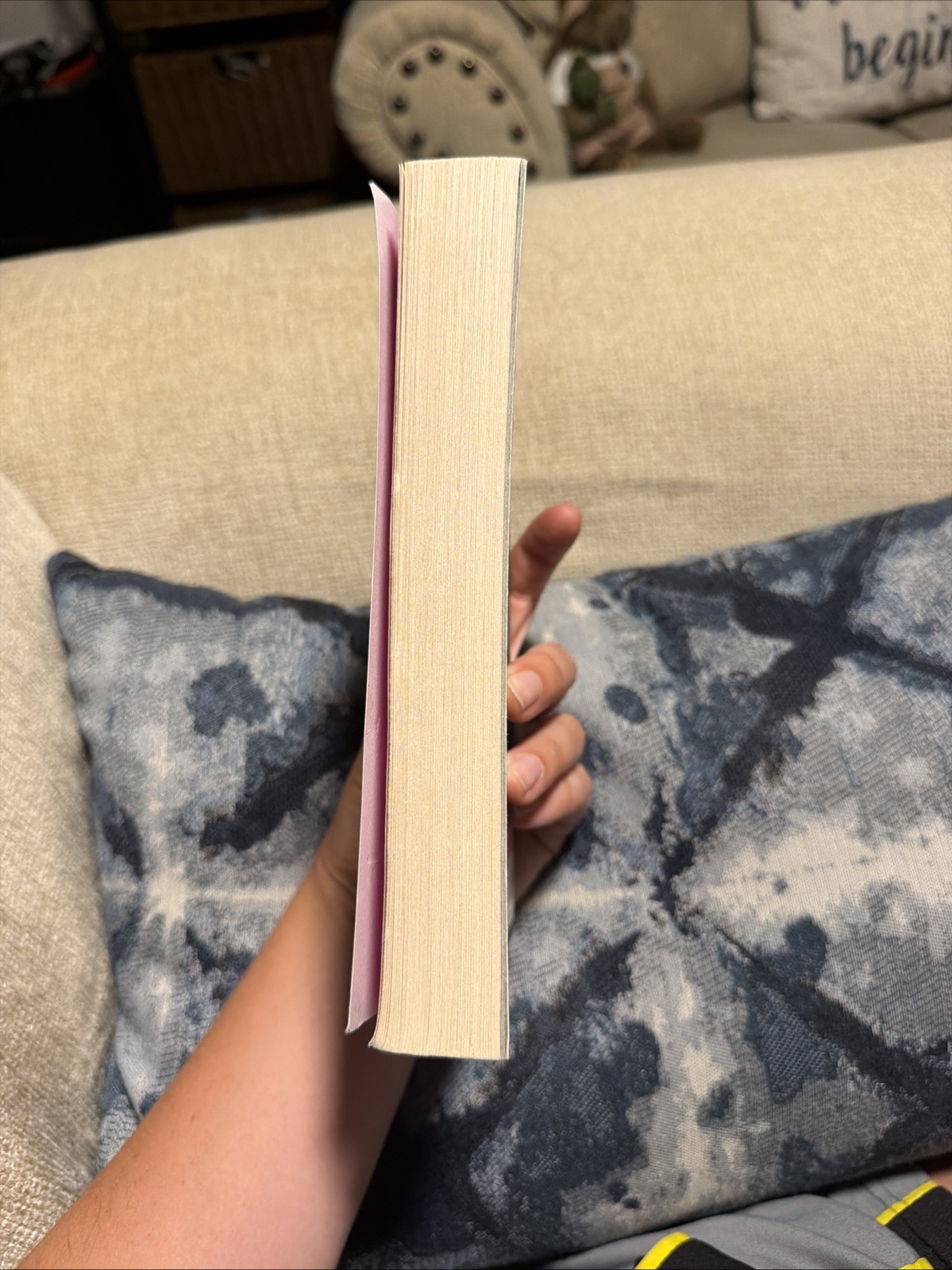 The Paris Apartment by Lucy Foley
