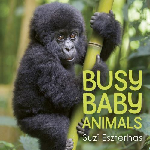 Busy Baby Animals – Suzi Eszterhas, 1771474467, hardcover