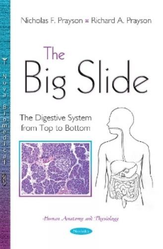 Nicholas F Prayson Richard A Prayson The Big Slide (Paperback) (UK IMPORT)