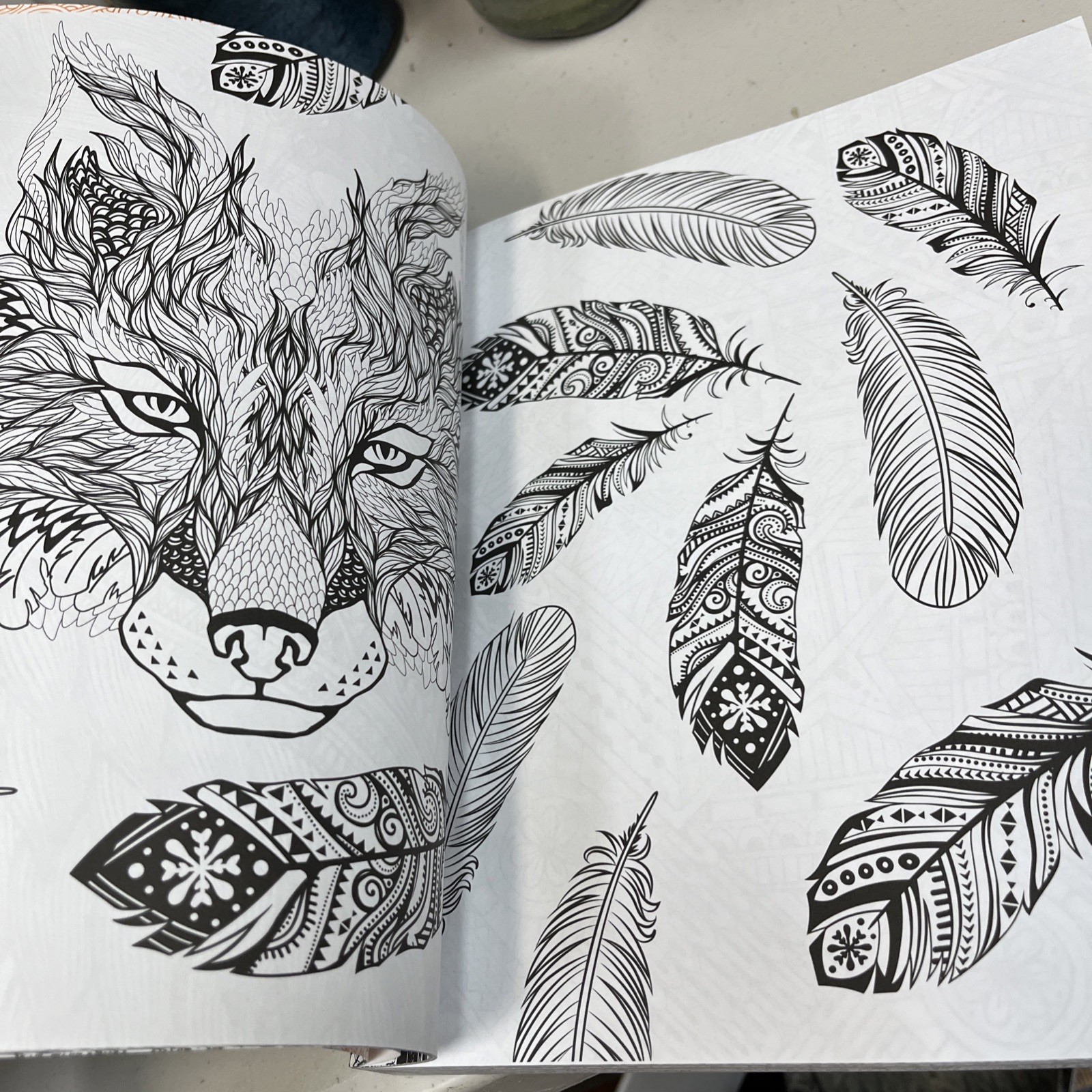 Adult Coloring for Creativity Book 288 Pages New Copyright 2015