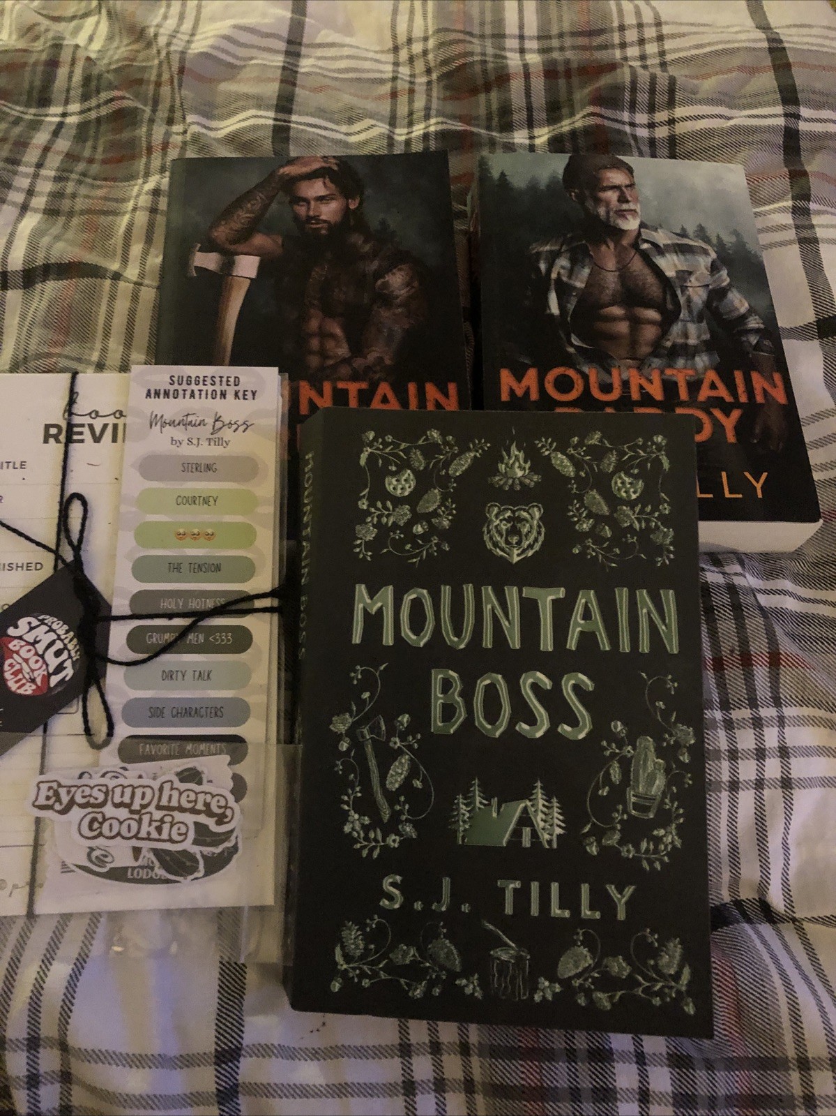 Lot Of 3 S.J. Tilly Mountain Men Series Books