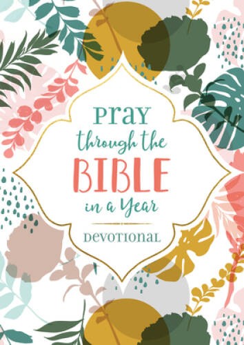 Pray through the Bible in a Year Devotional – Paperback – GOOD