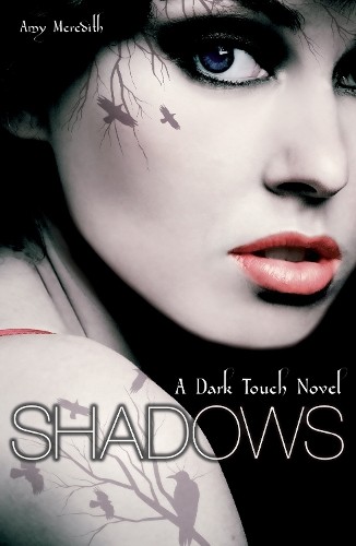 Dark Touch: Shadows (Dark Touch, 1) by Meredith, Amy Paperback / softback Book
