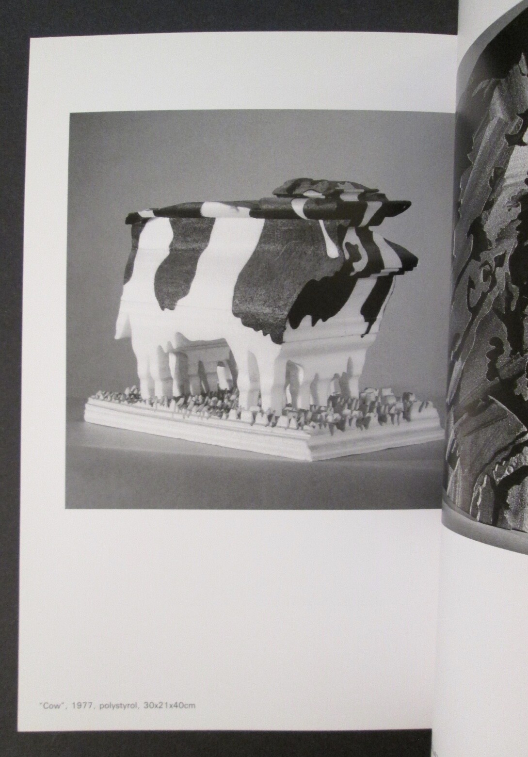 Very Rare KLAUS KAMMERICHS LOOK x SEE Art Book / Catalog ~ In English & Japanese
