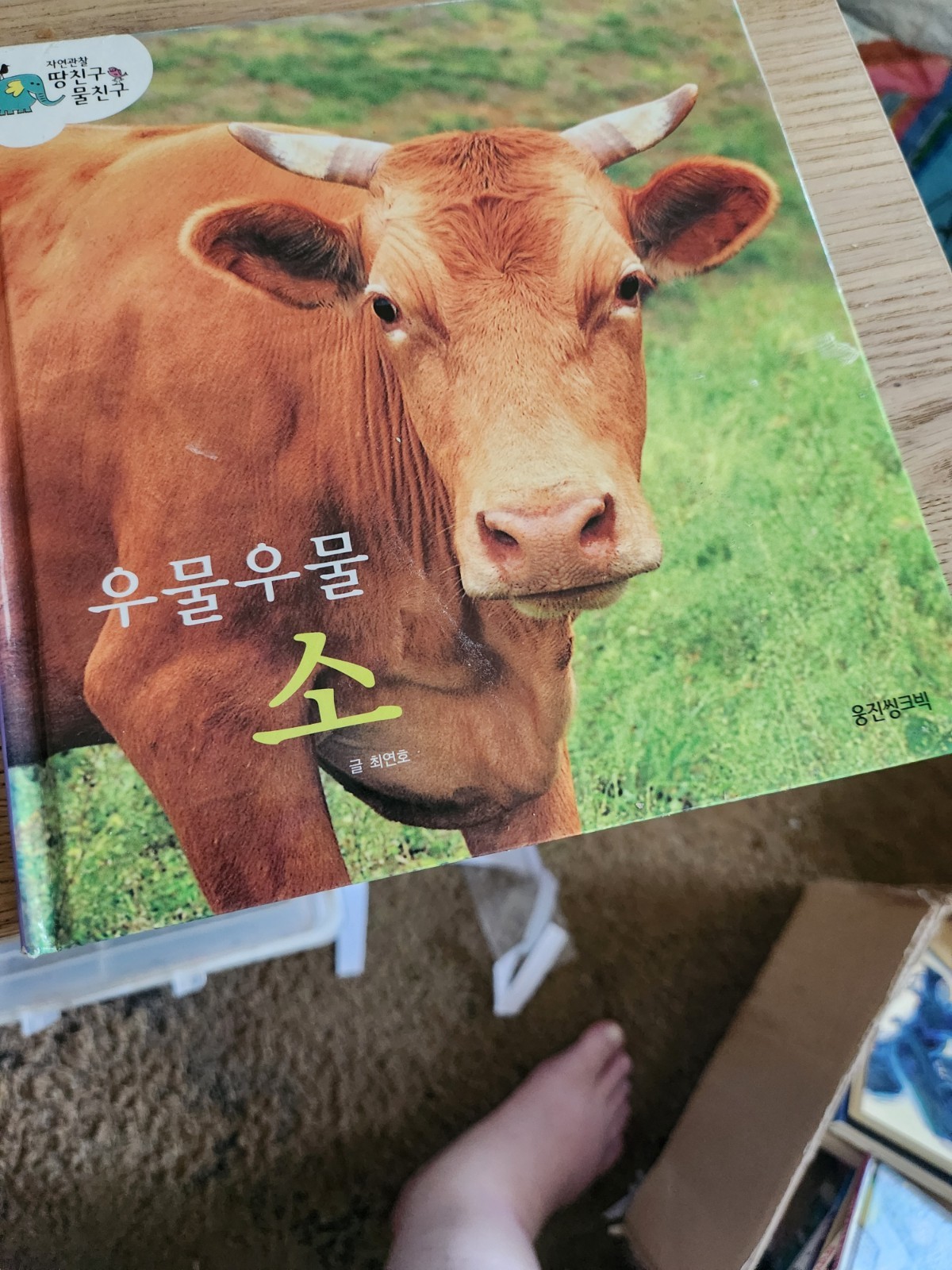 Assorted Korean Children&rsquo;s Books