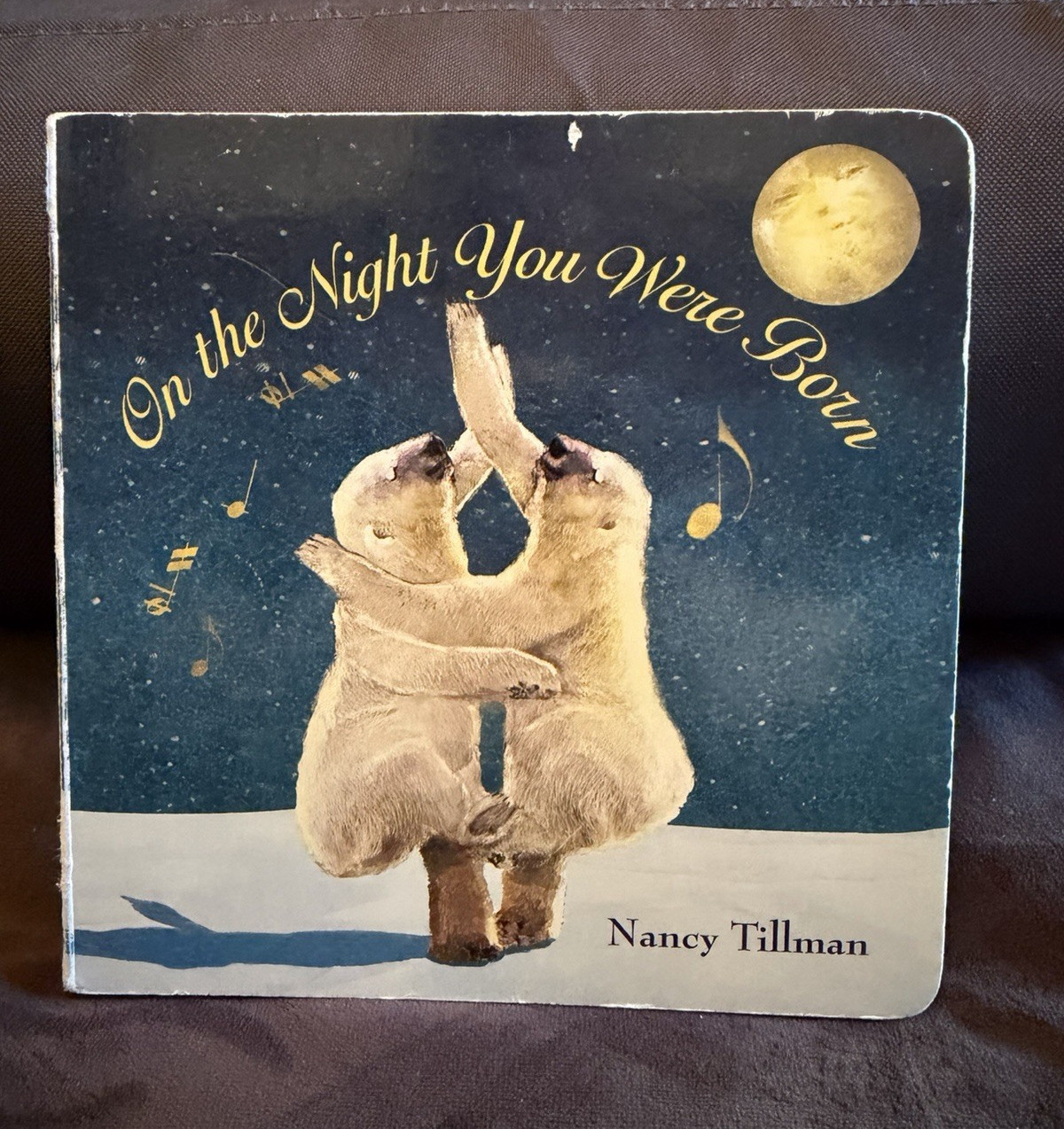On the Night You Were Born Nancy Tillman | Illustrated Board Book Feiwel 2010