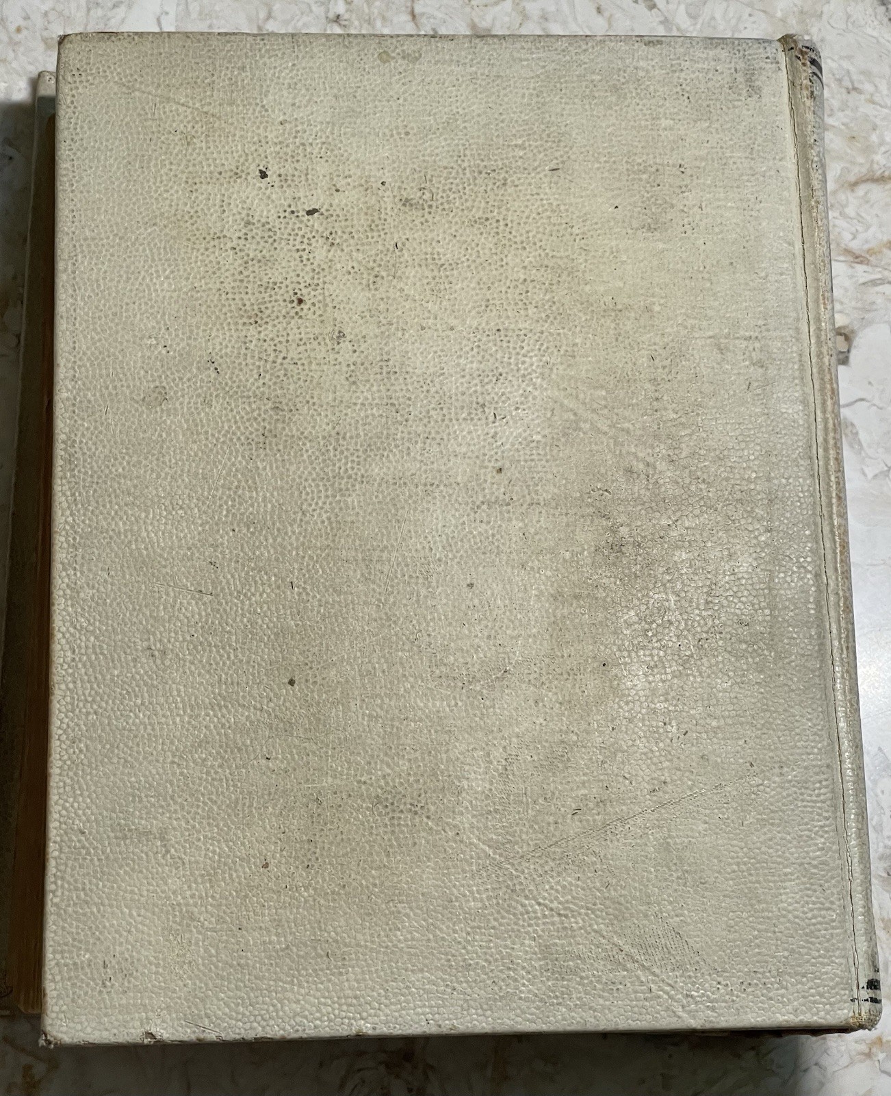 The Home Queen Cook Book 1898 Recipes Menus Housekeeping Laundry 608 Pages
