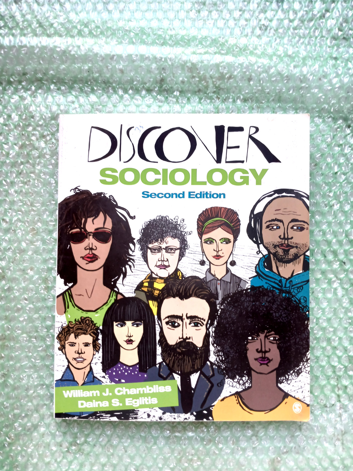 Discover Sociology by Daina S. Eglitis and William J. Chambliss (2015, Trade…