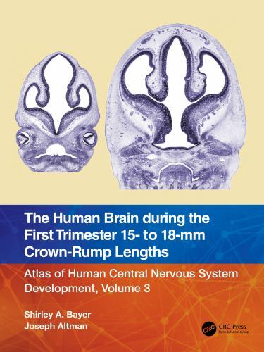 Human Brain During the First Trimester 15- to 18-mm Crown-rump Lengths : Atla…