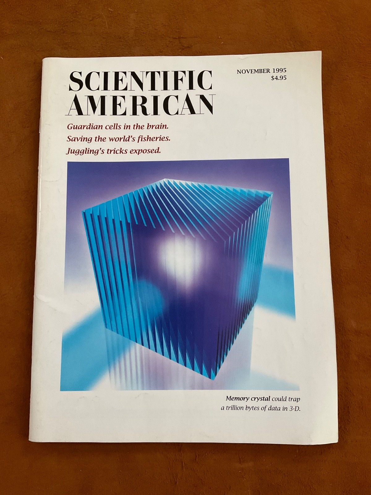 Scientific American Magazine November 1995