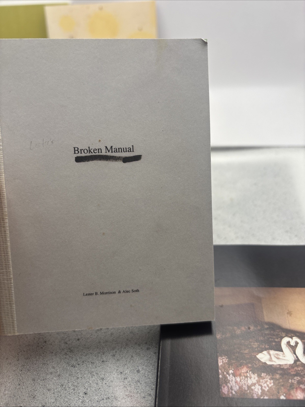 Signed Alec Soth Limited Edition Box With Postcards – Gathered Leaves