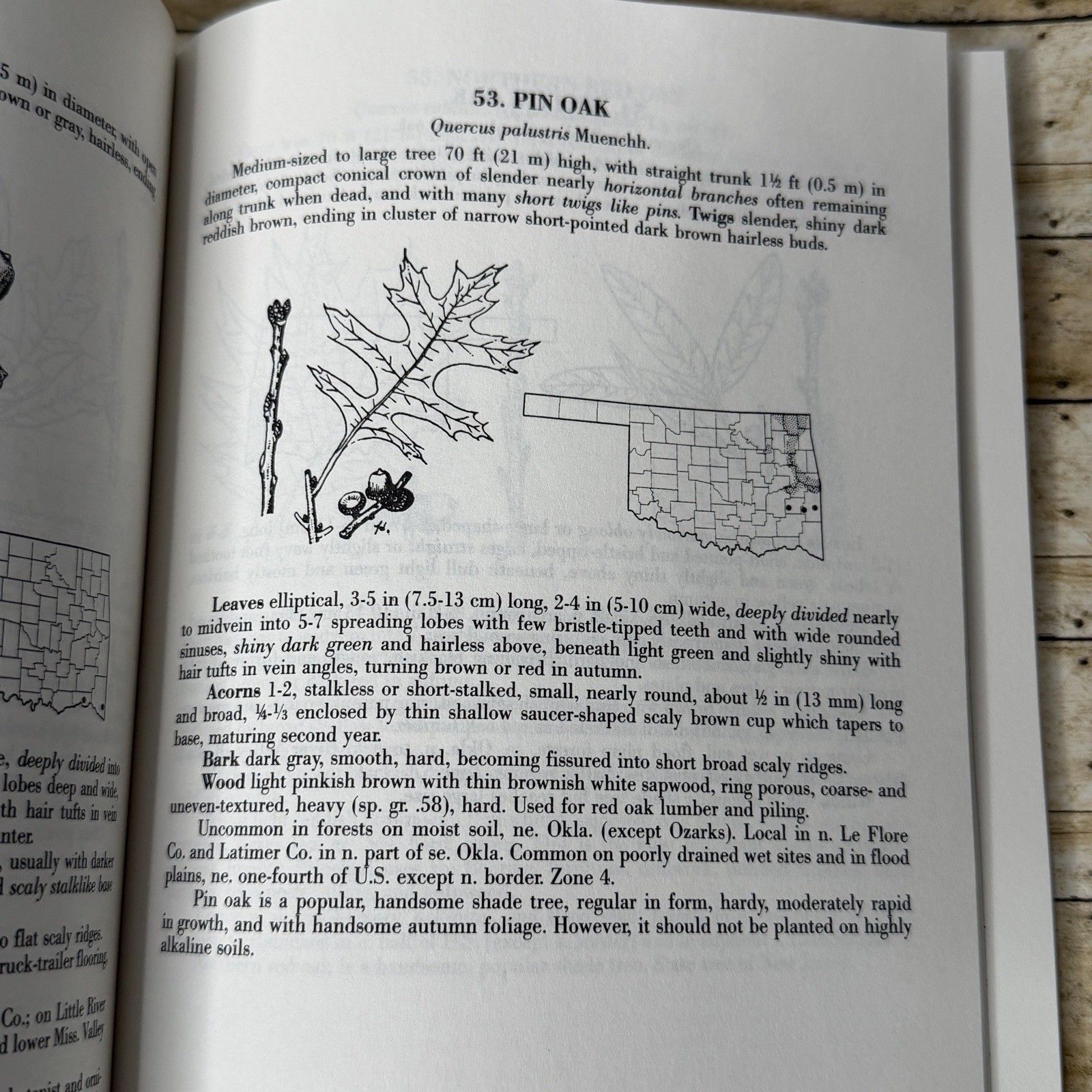 Forest Trees of Oklahoma Guidebook 1991 How to Know Them Botany Illustrated