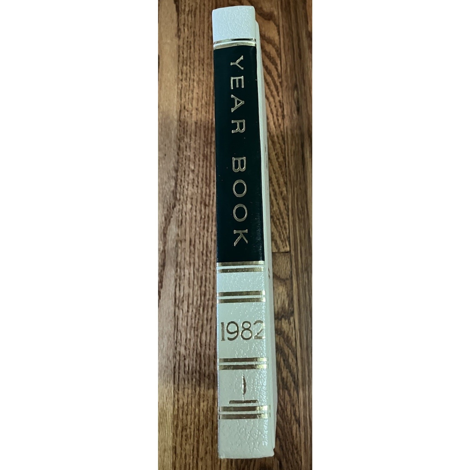 1982 The World Book Encyclopedia Yearbook 1981 Year in Review 608 Pages